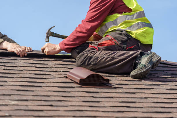 Best New Roof Installation  in Ddleville, MI
