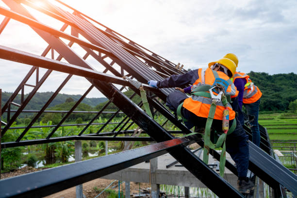 Best Best Roofing Contractors  in Ddleville, MI