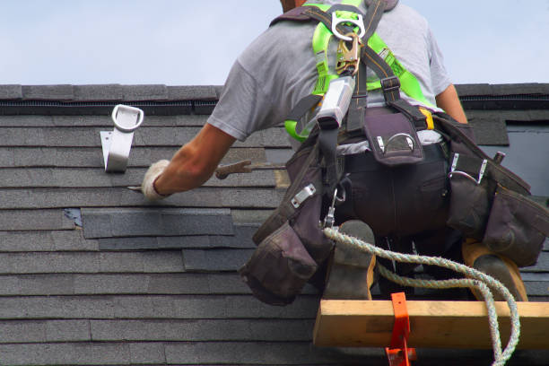 Best Gutter Installation and Roofing  in Ddleville, MI