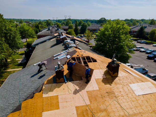 Best Commercial Roofing Services  in Ddleville, MI