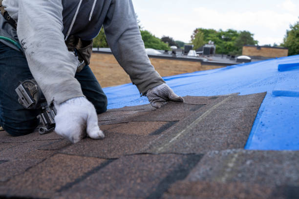 Best Roof Gutter Cleaning  in Ddleville, MI