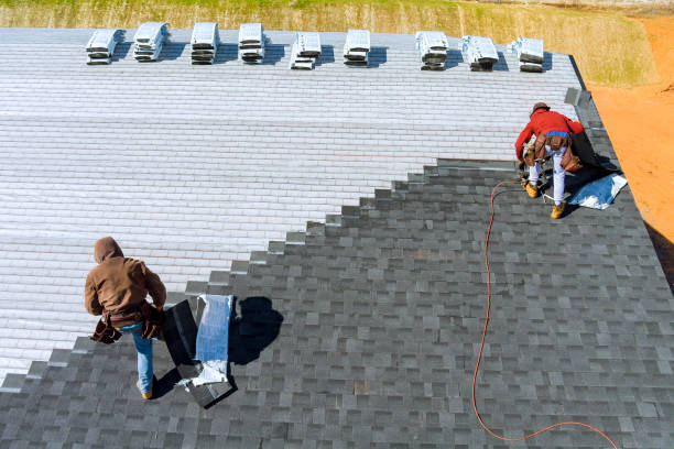Best Storm Damage Roof Repair  in Ddleville, MI
