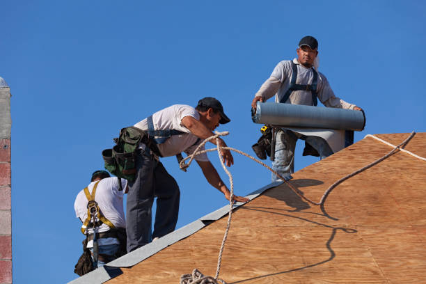 Best Roof Restoration Services  in Ddleville, MI