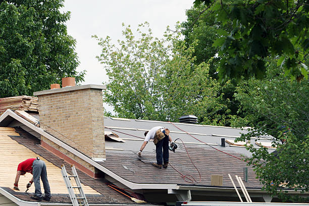 Best Local Roofing Companies  in Ddleville, MI