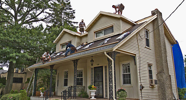 Best Roof Maintenance Services  in Ddleville, MI