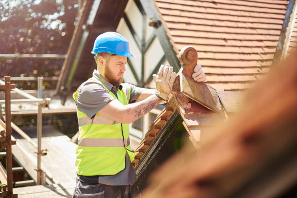 Best Residential Roofing Contractor  in Ddleville, MI