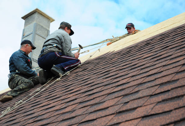 Best Roof Repair Services  in Ddleville, MI
